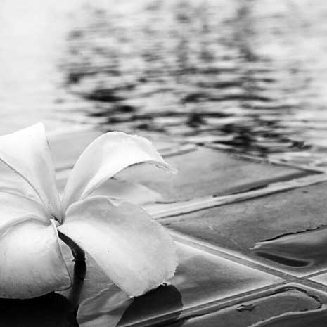 Thermen in Österreich 2026